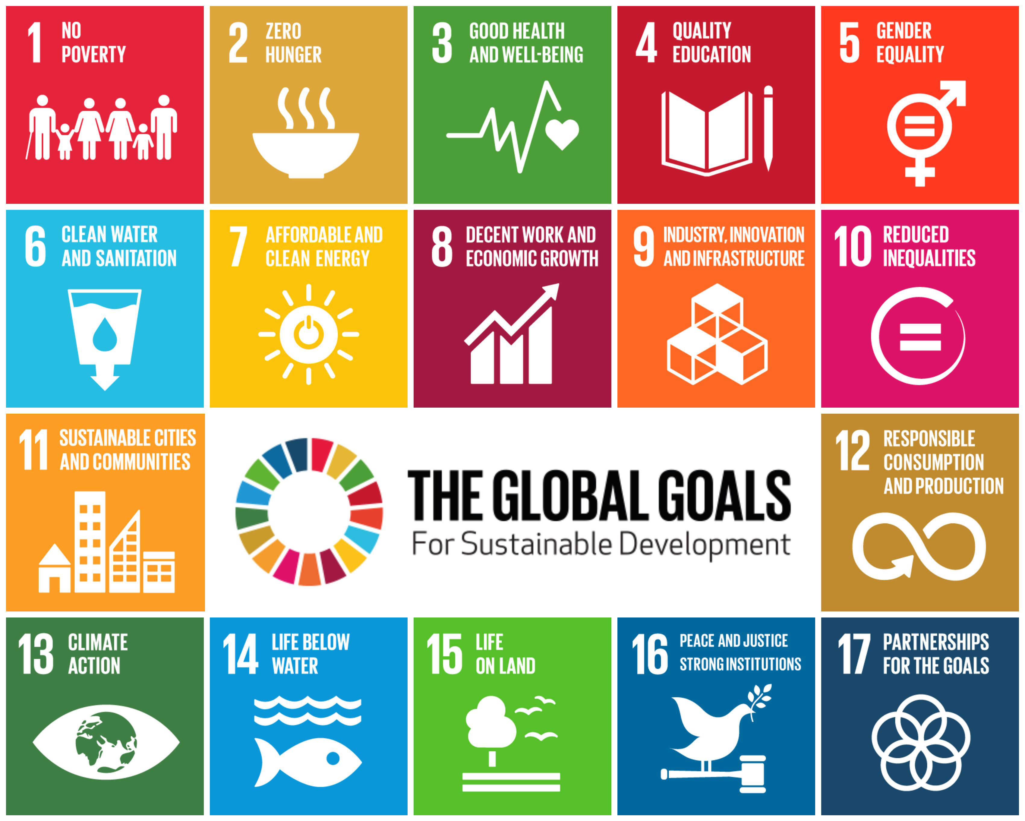 17 sustainable development goals essay